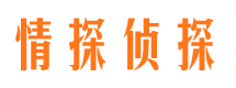 蓟州外遇调查取证